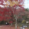 花貫渓谷　花貫駐車場奥の紅葉