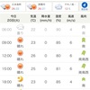 2/20 火曜日　薄雲温い朝　雨音？　風だ