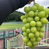 豪華なオマケ付きのバンク練