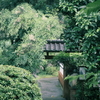 「中岡慎太郎生家」梅雨の風景