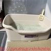 多頭飼い家庭の猫トイレ砂事情 家族の一員としての猫の生活費用【トイレ砂編】