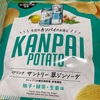 【大人のポテチ！？】お酒売り場専用のポテチ買ってみた件