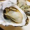ふるさとの納税。。第一弾は北海道の厚岸（あっけし）の牡蠣に、きーめた！