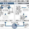 抗がん剤の標的広く