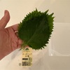 100均に行ったら便利なコレ絶対買って！