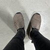 メレル仲間がいる、らしい