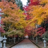 2024年 紅葉巡りの旅〜兵庫県 日本へそ公園駅〜