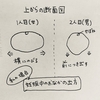 1人目と2人目の違い（妊娠中期編）