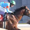競馬初心者必見☆馬券予想🔥〜東海S〜未完の大器が能力を発揮する！