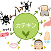 カテキンに関する雑学！