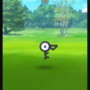 図鑑No.201は激レアポケモンアンノーン！26匹集める意味は？