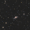 Arp123(NGC1888,1889) <Lepus>