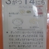 今日の給食
