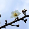 今日は石川県へ