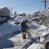 今年の雪