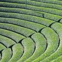 Next-Farm’s blog