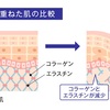 【化粧品検定２級・肌悩み・毛穴編】黒ずみってどんな状態？