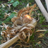 リハビリ胸焼け虫虫大行進キャンプその２（厚田キャンプ場）