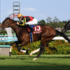日曜競馬　展望