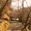 2016年末一人旅　第三週(146)河内長野の紅葉の道