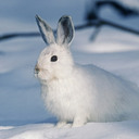 君と生きてきた日々が幸せの数