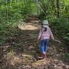 大倉岳に4歳の子供と登山〜観光も楽しい初心者向けの山〜（2024年10月、石川県）