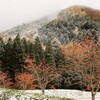 １１月２３日（土）立命館東北支援ツアー会津編