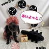楽天room・あたちはモデル🐶オリジナル写真撮影の裏側。。。🍀爆笑節分version🍀