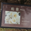 和音　京成バラ園　2016/05/16
