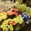 上海の花市場♪