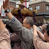 【祭り】東京三社祭2023 - 伝統、風景、雰囲気を一挙公開！