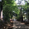 金色の鯉が来てくれた！！今日も神社の参道の清掃に参加