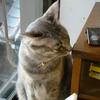 モーニングサン…４日の朝
