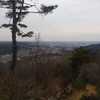 龍崖山（飯能三山）
