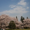昭和記念公園～春の編～