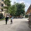 語学学習は早めに始めた方がいい件について解説