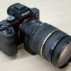 【スナップ】AFズームレンズでスナップ【α7II、TAMRON A09 28-75mm F2.8、AマウントアダプターLA-EA4】