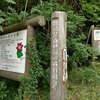 角田山登山