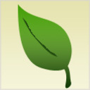 小さな植木　～small plant～