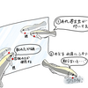 魚は賢い１　ホンソメワケベラとシグリット