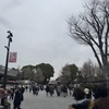 兄弟で並んでると聞いたら審神者たるもの授業参観に行くに決まっているだろう
