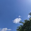 amazonプライムデーで購入したもの。夏休み対策を中心に（2024年7月）