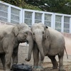 寒いけど多摩動物公園