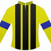 【2024年度】一口馬主　社台サラブレッドクラブ　厳選馬　４頭