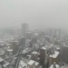 新宿区に大雪警報