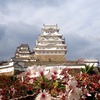 葉桜と姫路城。