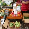 朝取り野菜市始めました