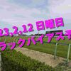 2023,2,12 日曜日 トラックバイアス予想 (東京競馬場、阪神競馬場、小倉競馬場)