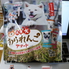 秋田犬の。。。