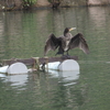 水月公園